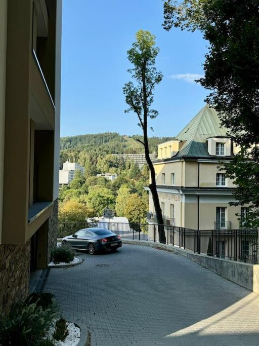 Art & High Studio Z Parkingiem Podziemnym Krynica Zdroj Bagian luar foto